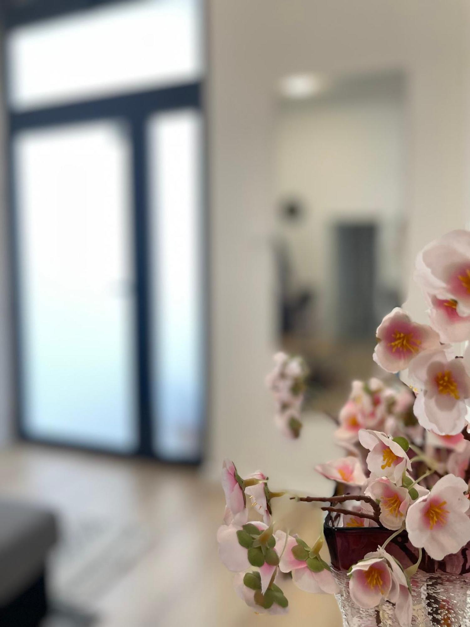 Studio apartman “N” Spalato Esterno foto